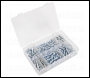 Sealey AB160BN Bleed Nipple Assortment 160pc