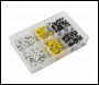 Sealey AB195NP Numberplate Screw Assortment 4.8mm x 18mm 195pc - Plastic Enclosed Head