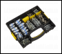 Sealey AC110K PCL Air Coupling Kit 110pc