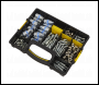 Sealey AC110K PCL Air Coupling Kit 110pc