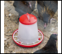 Sealey AFT025 Poultry Feeder 1.5kg - Pack of 5