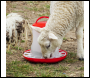 Sealey AFT033 Poultry Feeder 3kg - Pack of 3