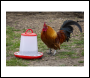 Sealey AFT033 Poultry Feeder 3kg - Pack of 3