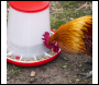 Sealey AFT03 Poultry Feeder 3kg