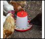 Sealey AFT042 Poultry Feeder 6kg - Pack of 2