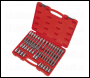 Sealey AK2198 Premier Ribe Socket Bit Set 1/2 inch Sq Drive 32pc