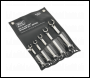 Sealey AK2651 Flare Nut Spanner Set 5pc Metric