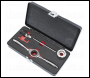 Sealey AK3027 Metric Bi-Directional Ratchet Tap & Die Holder Set 5pc