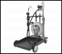 Sealey AK4562D Air Operated Oil Dispensing System with 10m Retractable Hose Reel