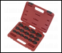 Sealey AK5983 Premier Crow's Foot Spanner Set 3/8 inch Sq Drive 15pc