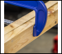 Sealey AK6004 G-Clamp 100mm
