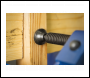 Sealey AK6004Q Quick Release G-Clamp 100mm