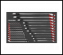 Sealey AK63021 Premier Combination Spanner Set 6-32mm 21pc