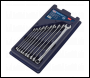 Sealey AK6310 Premier Extra-Long Combination Spanner Set 10pc
