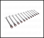Sealey AK63942 Premier Platinum Flexi-Head Ratchet Combination Spanner Set 12pc