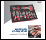 Sealey AK6802 Premier Locking Pliers Set with Foam Tray 10pc