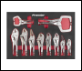 Sealey AK6802 Premier Locking Pliers Set with Foam Tray 10pc