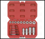 Sealey AK751 Premier Bolt, Stud & Screw Extractor Set 18pc