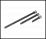 Sealey AK7691 Wobble/Rigid Extension Bar Set 3pc 3/8 inch Sq Drive  - Premier Black