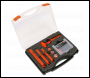 Sealey AK7911 Premier Hybrid & Electric Vehicle Battery Tool Kit 19pc
