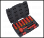 Sealey HP55KITCOMBO Hybrid Workshop Tool Kit