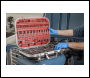 Sealey AK7981 Premier Socket Set 1/4 inch , 3/8 inch  & 1/2 inch Sq Drive 172pc