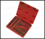 Sealey AK8149 Master Extractor Set 49pc