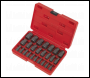 Sealey AK8182 Multi-Spline Screw Extractor Set 25pc