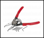 Sealey AK8453 Premier Quick Change Circlip Pliers Set Internal/External