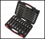 Sealey AK89000 Premier Platinum Hex Socket Bit Set 3/8 inch Sq Drive 30pc