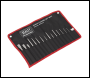 Sealey AK9216 Premier Punch & Chisel Set 16pc