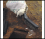 Sealey AK9801 Auto Engineer's Wire Brush Set 3pc