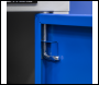 Sealey API5659 Premier Industrial™ Mobile Industrial Cabinet with 1 Shelf