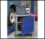 Sealey API5659 Premier Industrial™ Mobile Industrial Cabinet with 1 Shelf