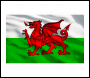 Sealey APTBG03 Toolbox Graphics Pack - Wales