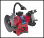 Sealey BGVDSCOMBO4 Bench Grinder & Vice Stand Deal