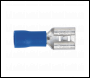 Sealey BTSET Clip Strip Deal - Blue Terminals