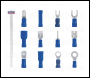 Sealey BTSET Clip Strip Deal - Blue Terminals