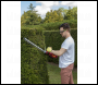 Sealey CHT20V SV20 Series 52cm Cordless Hedge Trimmer 20V - Body Only