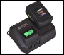 Sealey CP20VIMC Intelligent Battery Charger 20V SV20 Series Lithium-ion