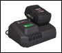 Sealey CP20VIMC Intelligent Battery Charger 20V SV20 Series Lithium-ion