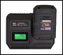 Sealey CP20VIMC Intelligent Battery Charger 20V SV20 Series Lithium-ion