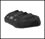 Sealey CP40VBCKIT Cordless Brush Cutter & Trimmer Kit 40V 4Ah SV20 Series 35cm
