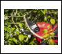 Sealey CP20VPS SV20 Series Brushless Cordless Pruning Shears 20V - Body Only
