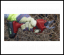 Sealey CP20VPSKIT1 SV20 Series Brushless Cordless Pruning Shears Kit 20V 2Ah