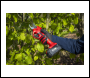 Sealey CP20VPSKIT SV20 Series Brushless Cordless Pruning Shears Kit 20V 2Ah - 2 Batteries