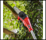 Sealey CP20VTP02 SV20 Series 20cm Cordless Telescopic Chainsaw Kit 20V 4Ah