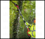 Sealey CP20VTP02 SV20 Series 20cm Cordless Telescopic Chainsaw Kit 20V 4Ah
