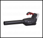 Sealey CP40VBKIT Cordless Blower Kit 40V 4Ah SV20 Series