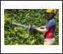 Sealey CP40VHT SV20 Series 52cm Cordless Hedge Trimmer 40V - Body Only